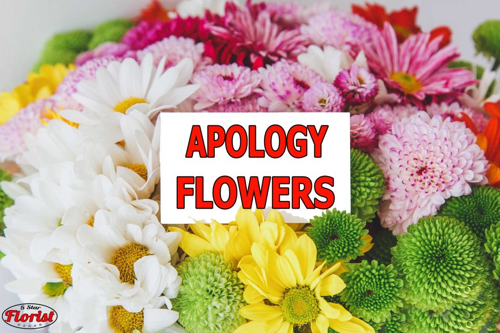 apology flowers Chicago